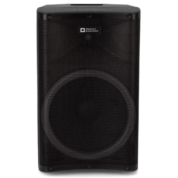 PARLANTE THONET & VANDER STARK GEN 2 250W BLUETOOTH / RCA CON MICROFONO INALÁMBRICO HK096-03646 NEGRO